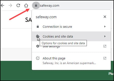 Finding related site domains and cookies in Chrome.