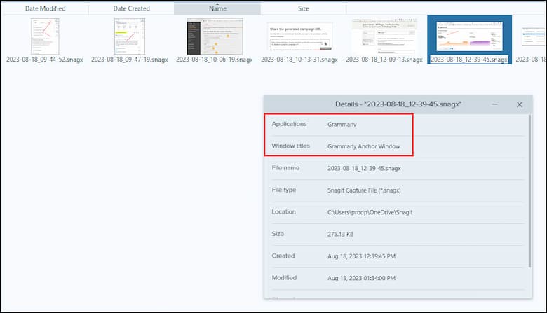 SnagIt think Grammarly was the application.
