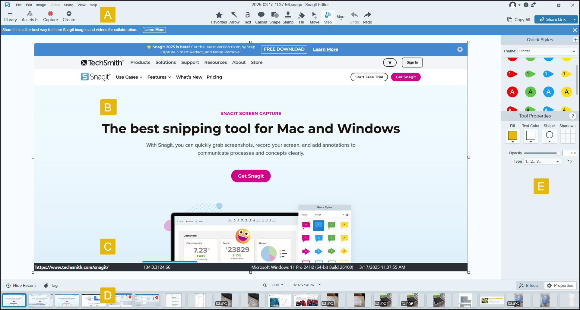 Snagit editor with labled sections