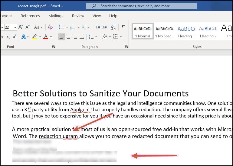 SnagIT PDF with blurred text image.