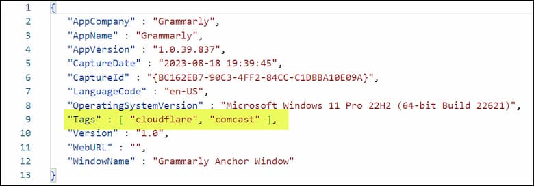 JSON file showing SnagIt tags.
