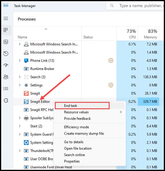 Using Task Manager to stop SnagIt Editor.