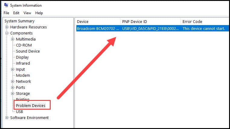 Windows System Info problem device example