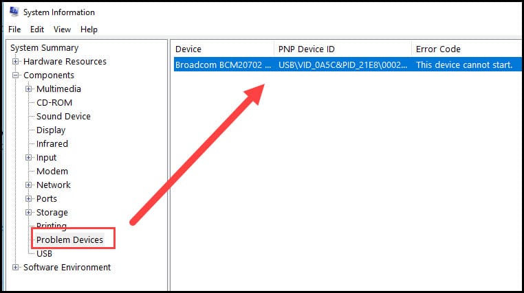 Windows System Info problem device example.